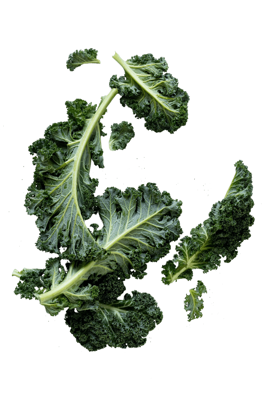 Kale