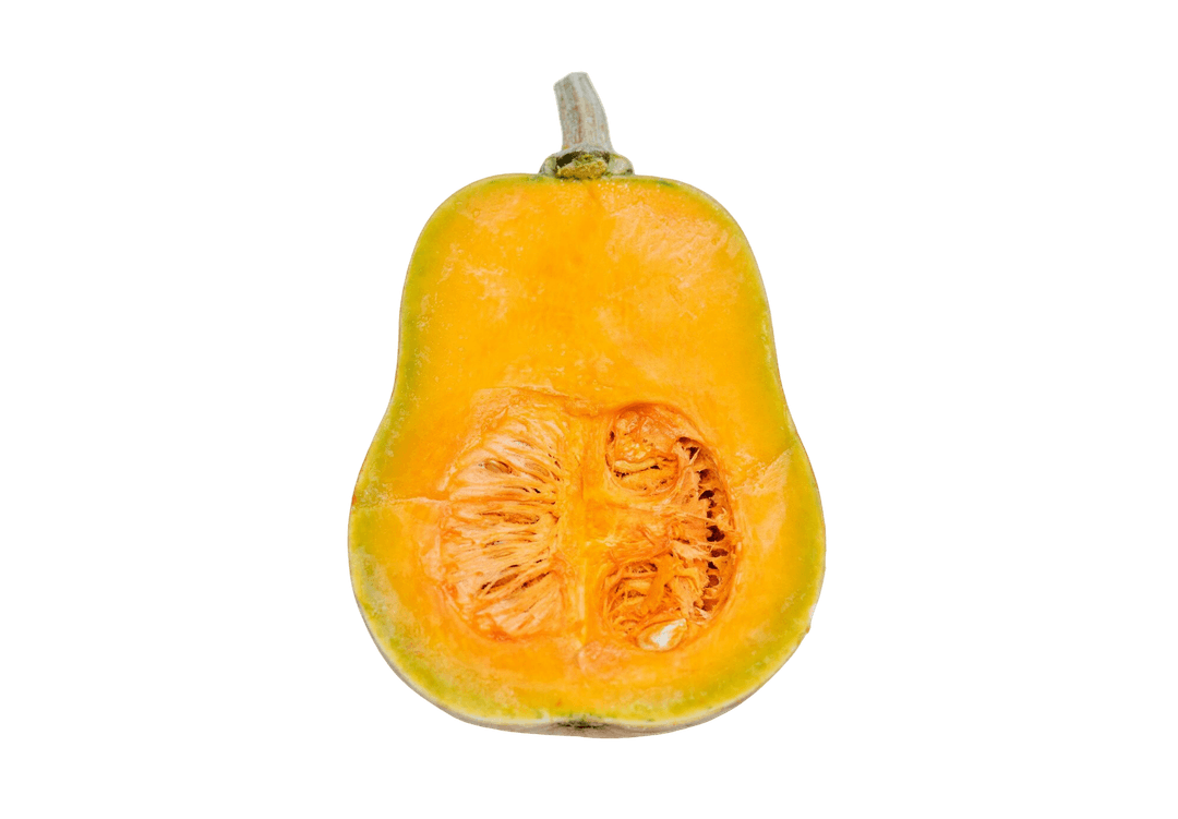 Squash