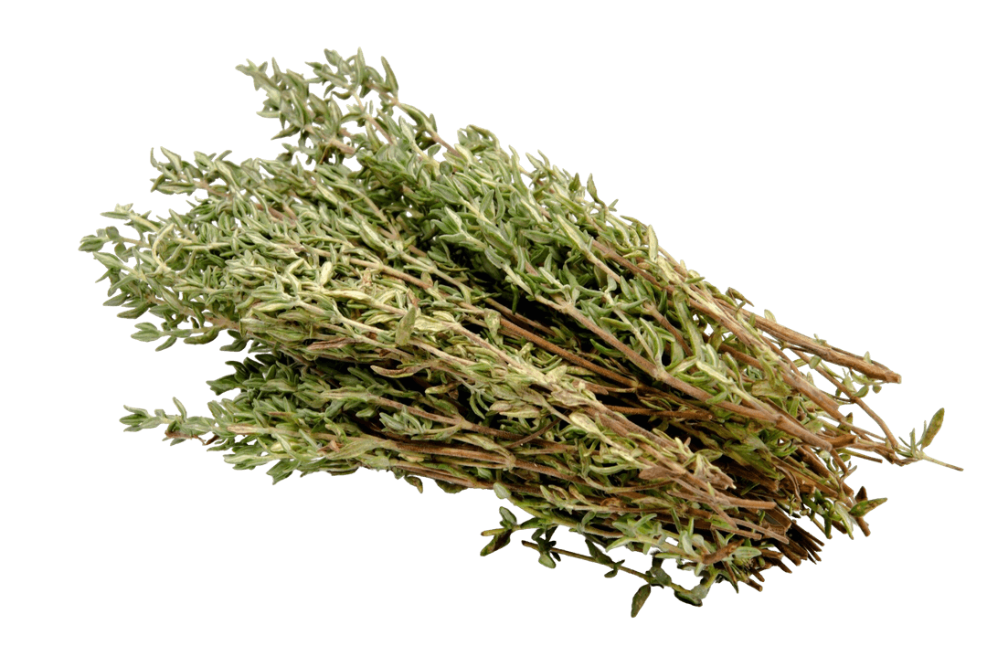 Fresh Thyme